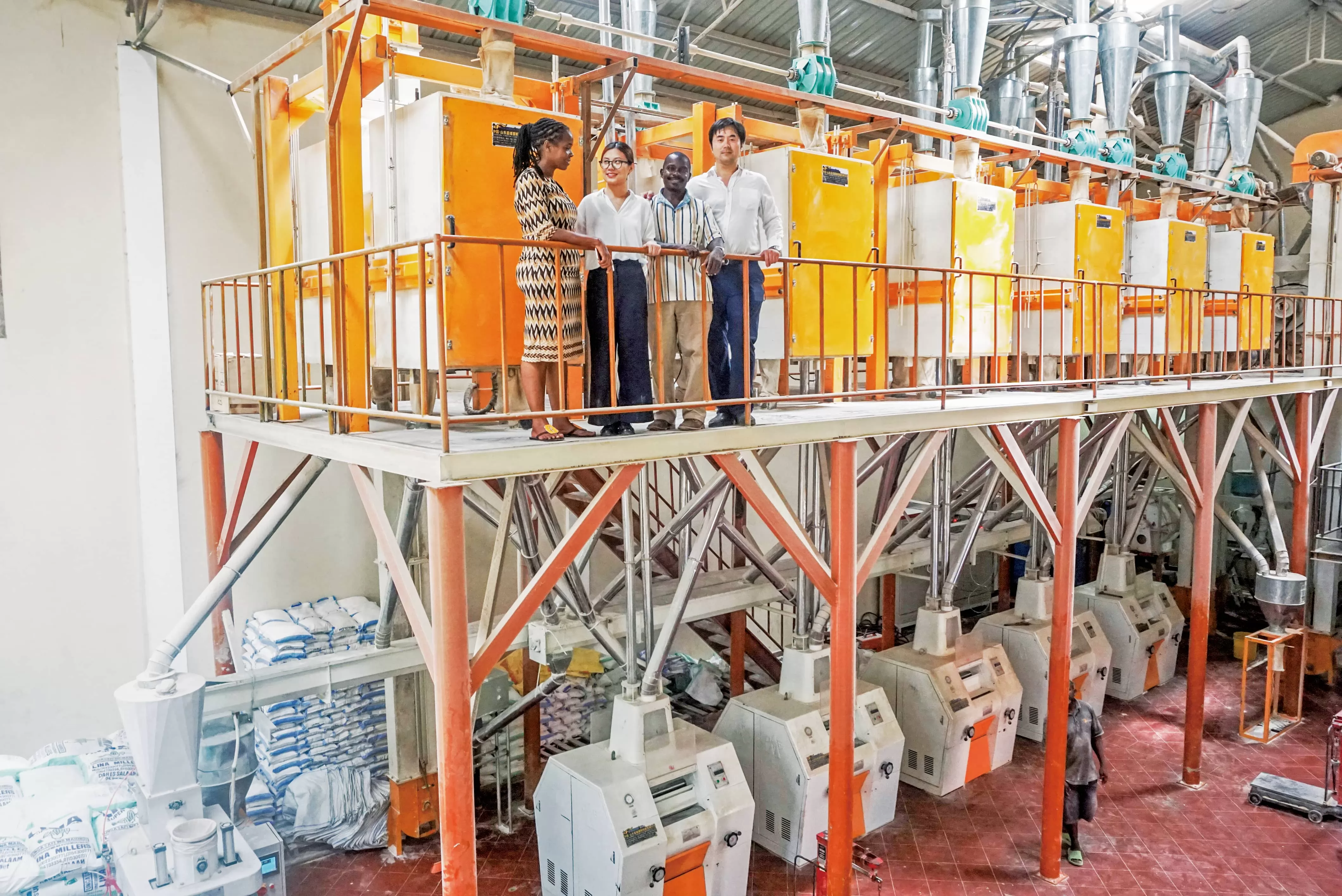 TANZANIA 50-80TPD Steel Frame Maize Flour Mill Plant