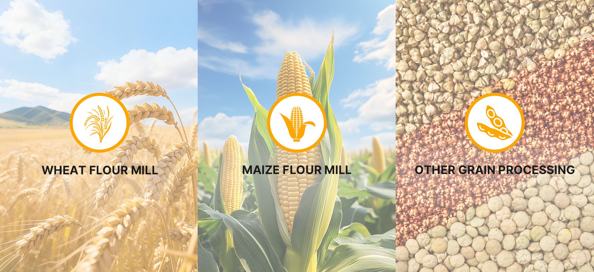 Wheat Flour Mill Plant