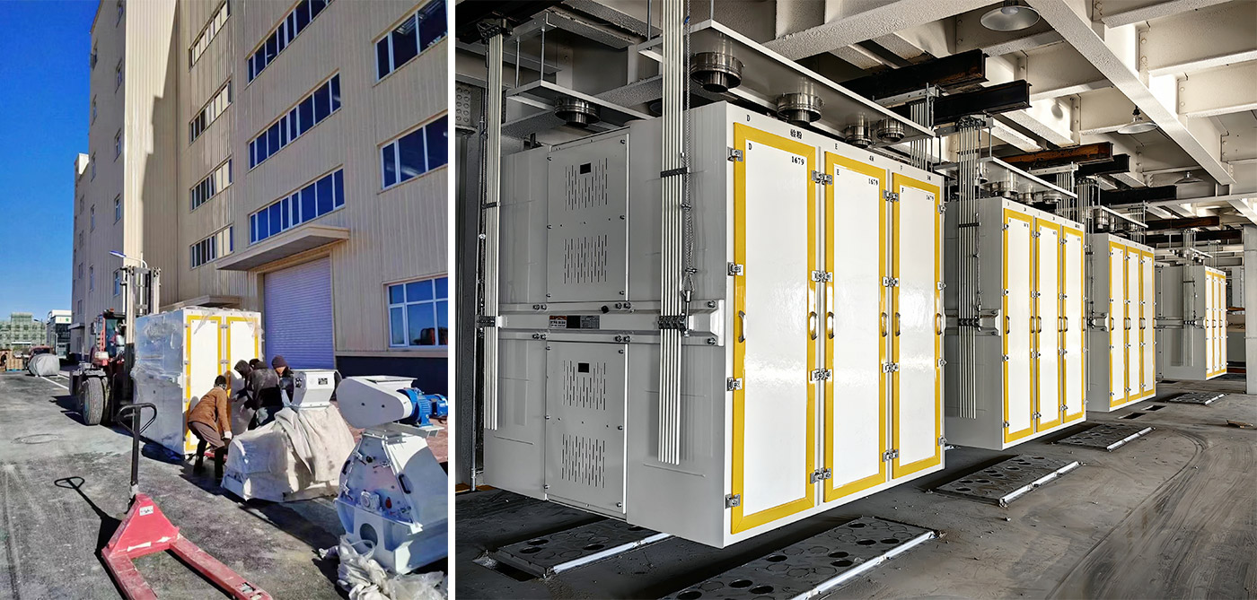 The 260TPD maize production line was installed in January 2024