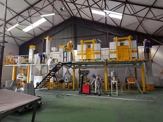 Maize Flour Processing Plant Cost