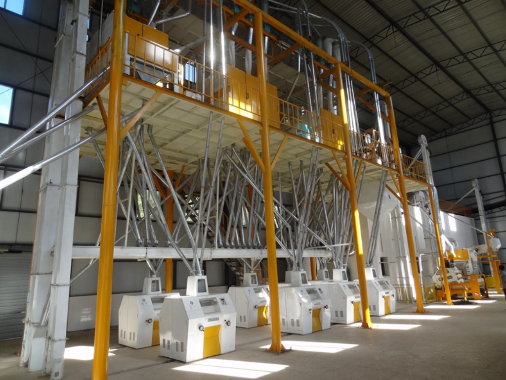 Why Consistent Raw Wheat Moisture Matters in a 100TPD Flour Mill