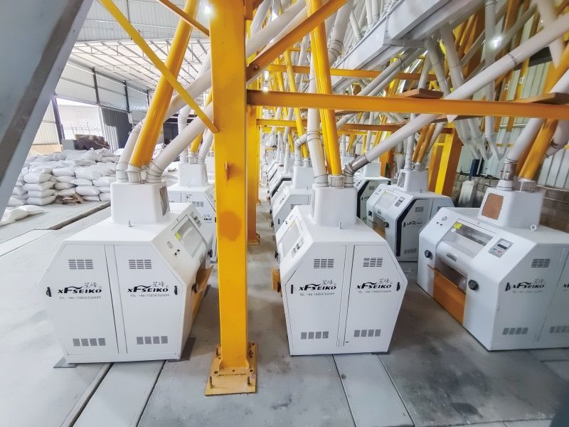 Spare Parts Planning for Continuous Wheat and Maize Mill Operation