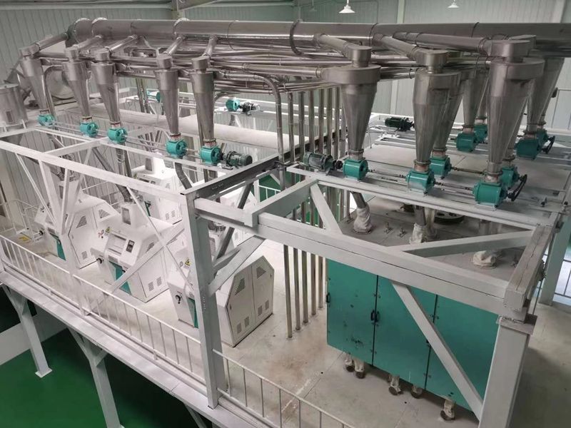 60TPD vs 80TPD Wheat Flour Mill Plants: Output, Space and Staffing Compared