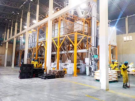 150TPD Maize Flour Mill Plant