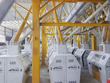 260TPD Steel Structure Wheat Flour Mill Plant