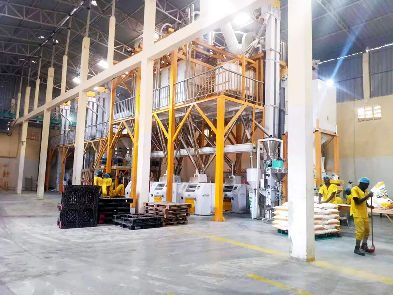 ANGOLA 150TPD-200TPD Steel Frame Maize Flour Mill Plant