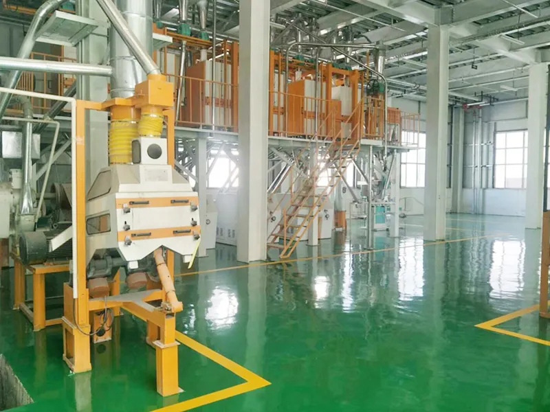 PERU 30TPD-50TPD Steel Frame Wheat Mill Plant