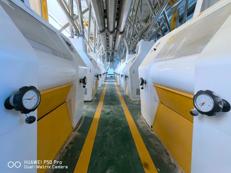 300TPD Concrete Structure Wheat Flour Mill Plant