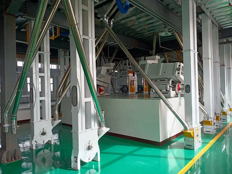 Buckwheat Processing Line