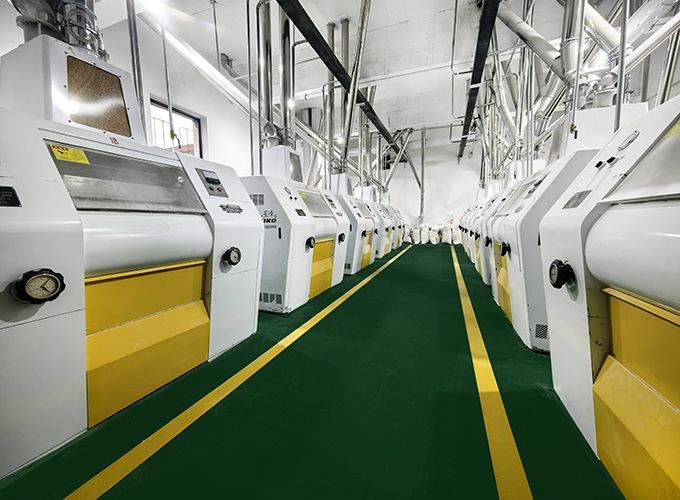 Intelligent wheat flour processing plant