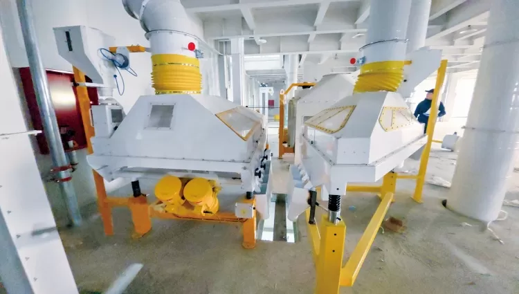 CHINA 300TPD Concrete Structure Maize Flour Mill Plant
