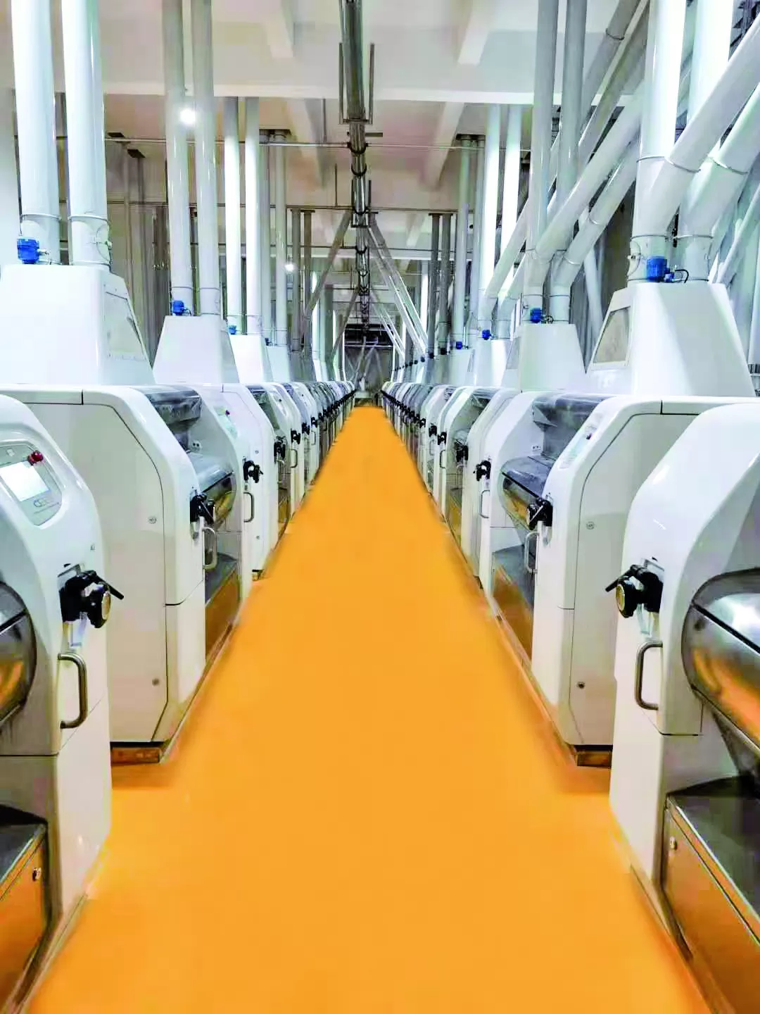 CHINA 300-500T Concrete Structure Wheat Flour Mill Plant