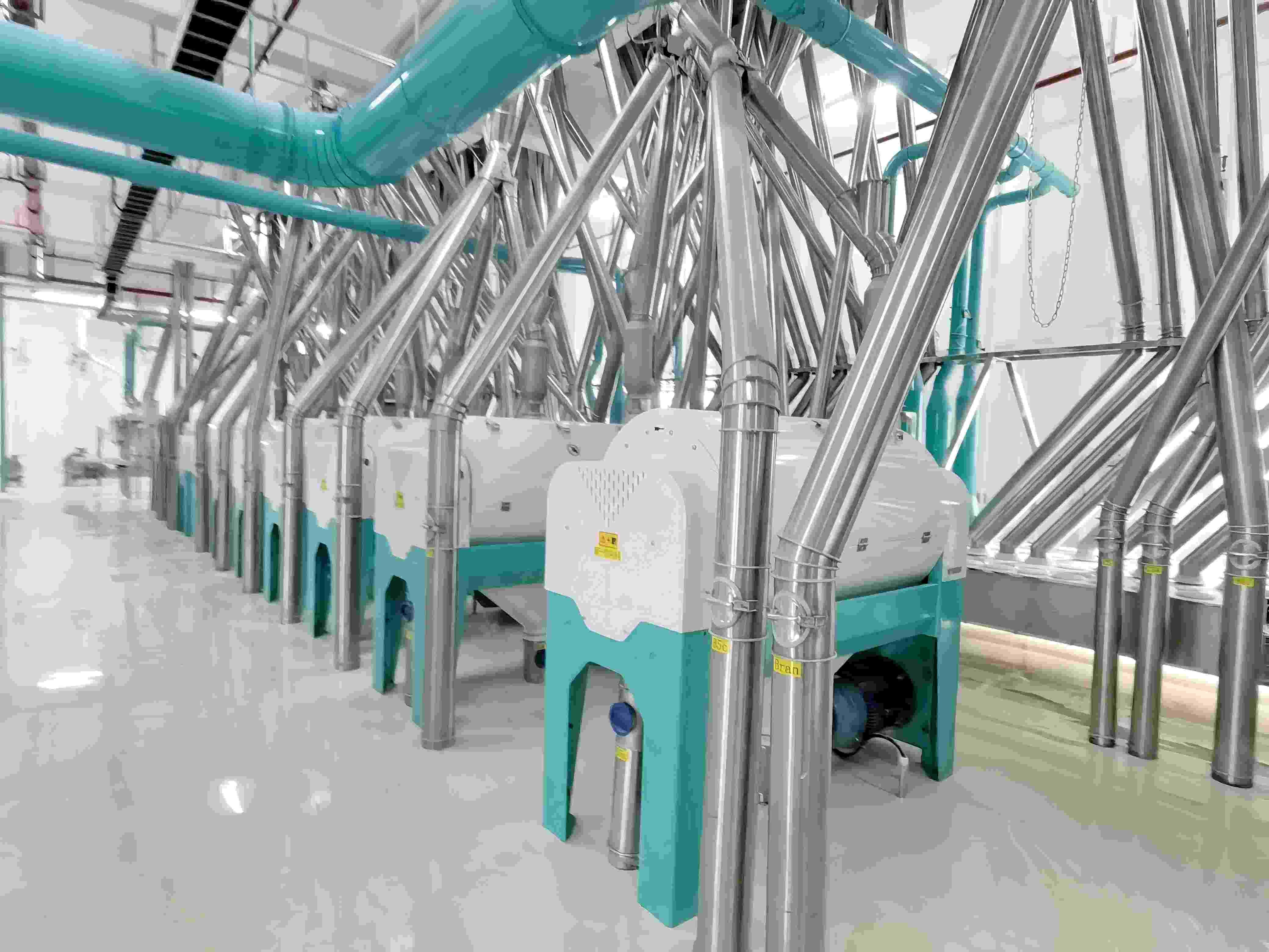 CHINA 300-500T Concrete Structure Wheat Flour Mill Plant