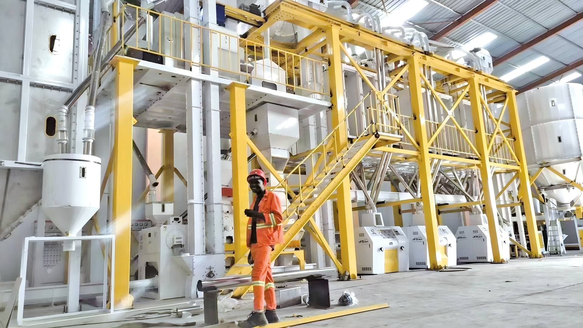 MOZAMBIQUE 150TPD-180TPD Steel Frame Maize Flour Mill Plant