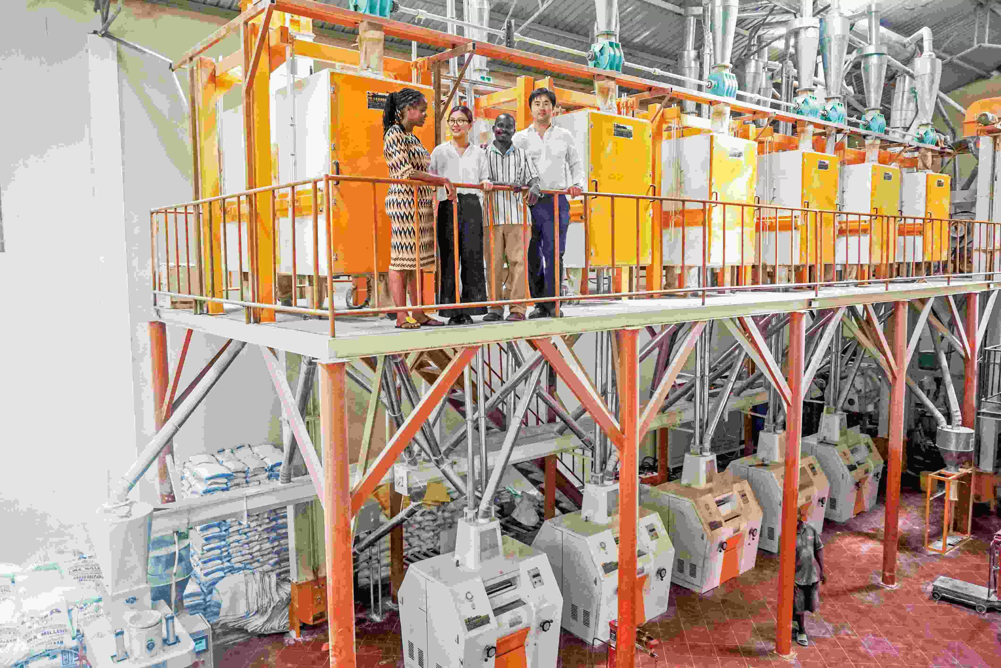 TANZANIA 50-80TPD Steel Frame Maize Flour Mill Plant