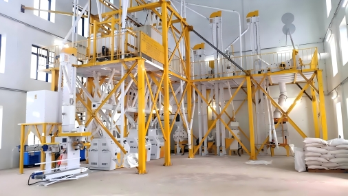 Tanzania 60TPD Steel Frame Maize Flour Mill Plant