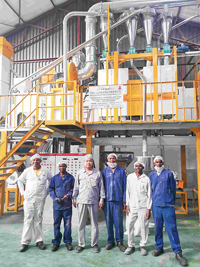 Swaziland 30-40TPD Steel Frame Maize Flour Mill Plant