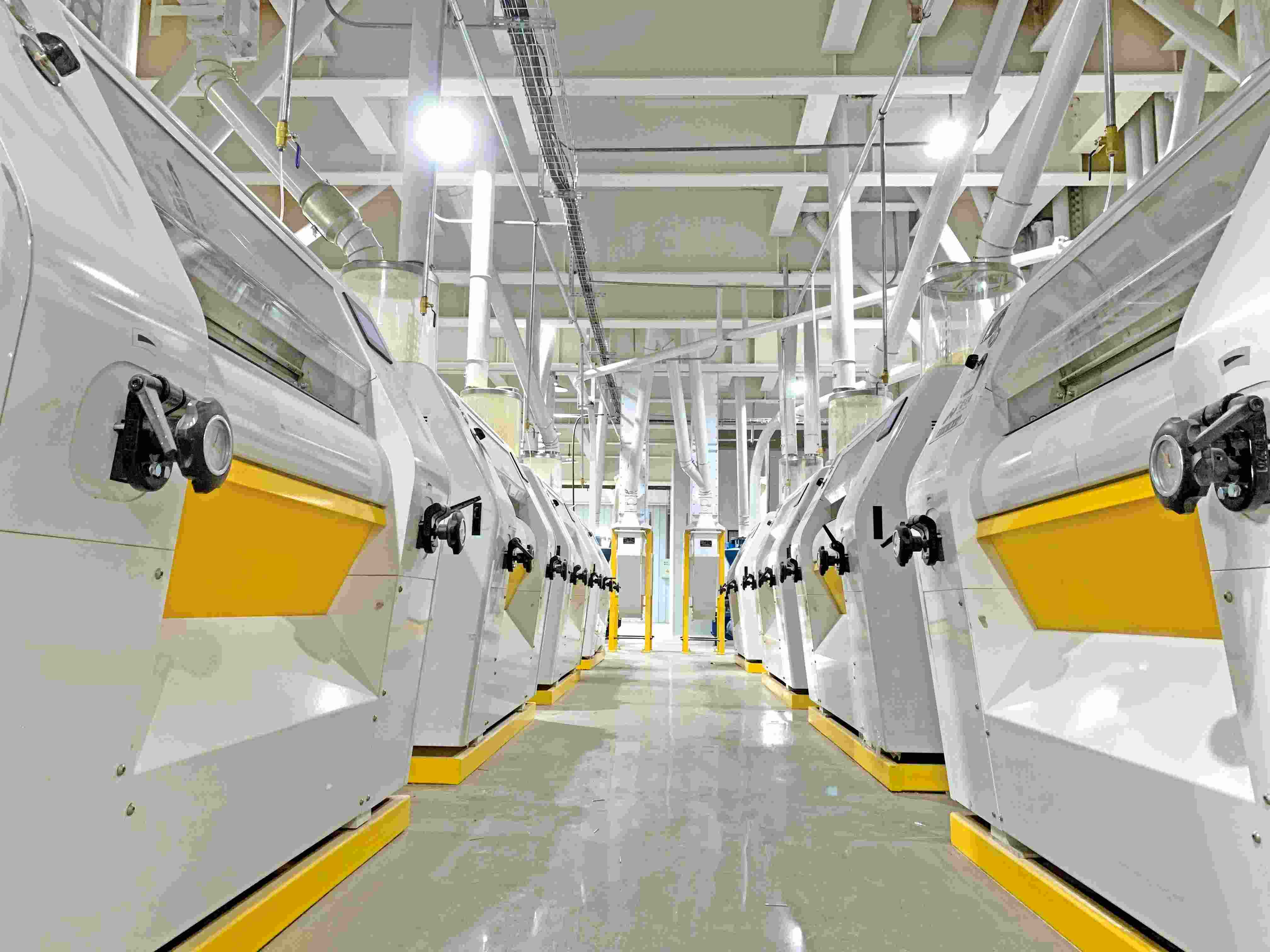 CHINA 300TPD Concrete Structure Maize Flour Mill Plant