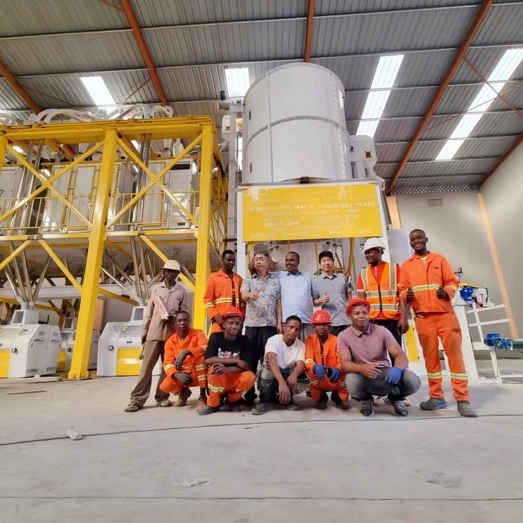 MOZAMBIQUE 150TPD-180TPD Steel Frame Maize Flour Mill Plant