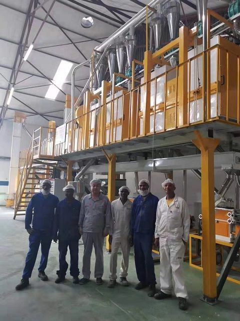 Swaziland 30-40TPD Steel Frame Maize Flour Mill Plant