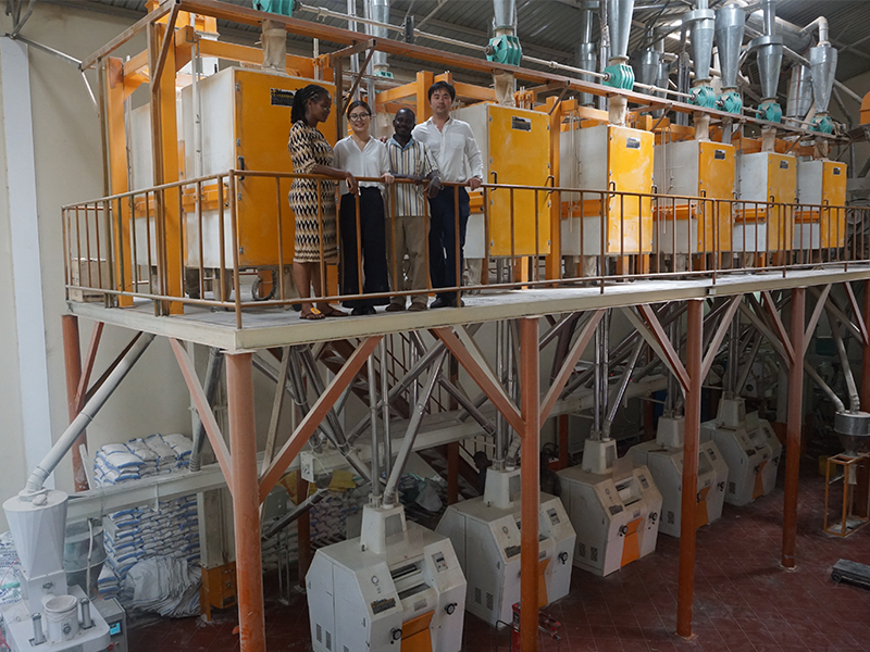 50-80TPD Maize Flour Mill Plant