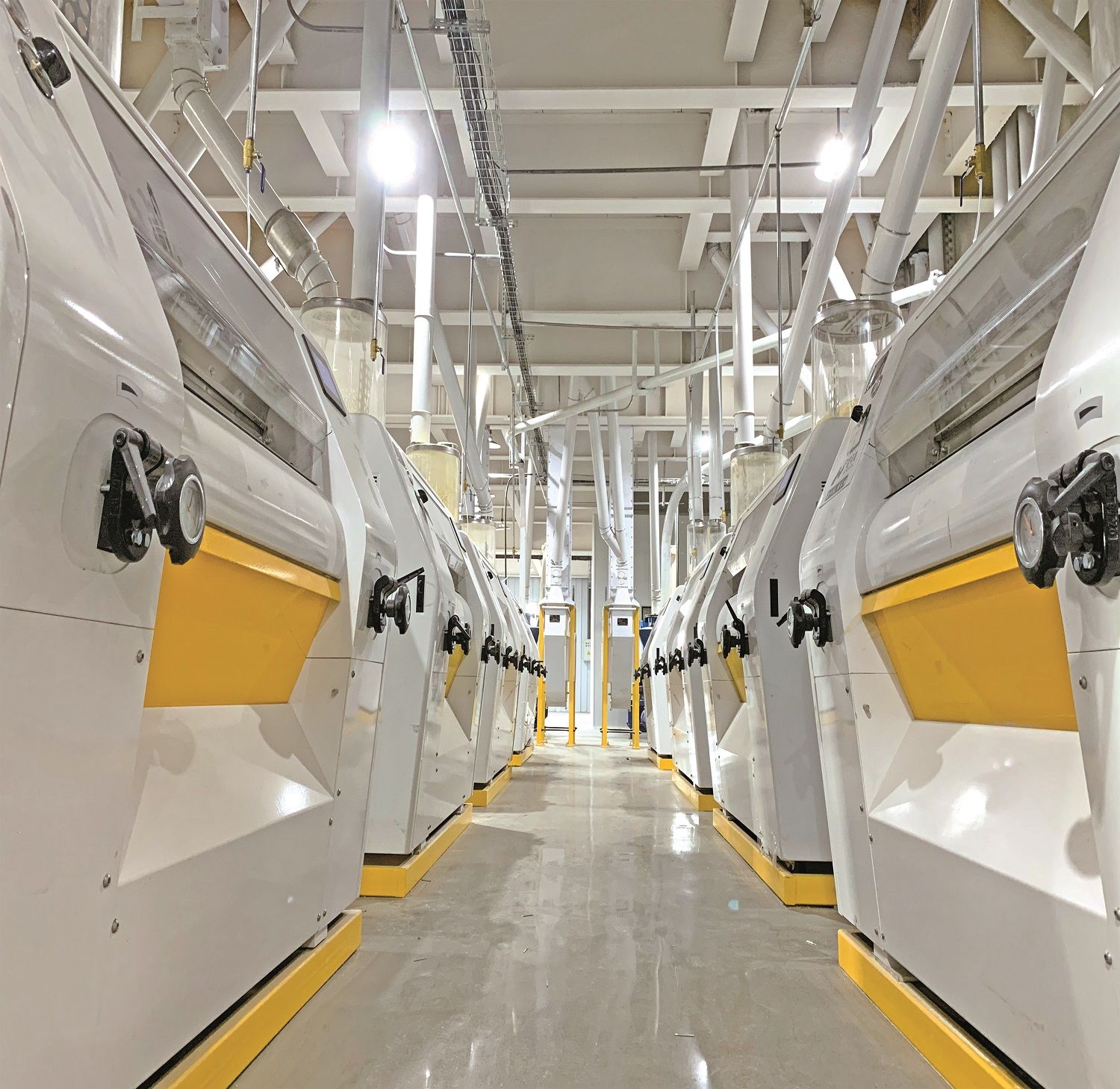 Intelligent wheat flour processing plant