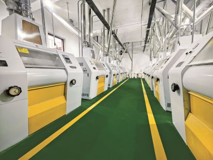 CHINA 260TPD wheat flour mill plant