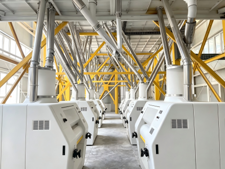 Nigeria 150TPD wheat flour mill plant