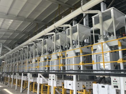 Poland buckwheat processing line